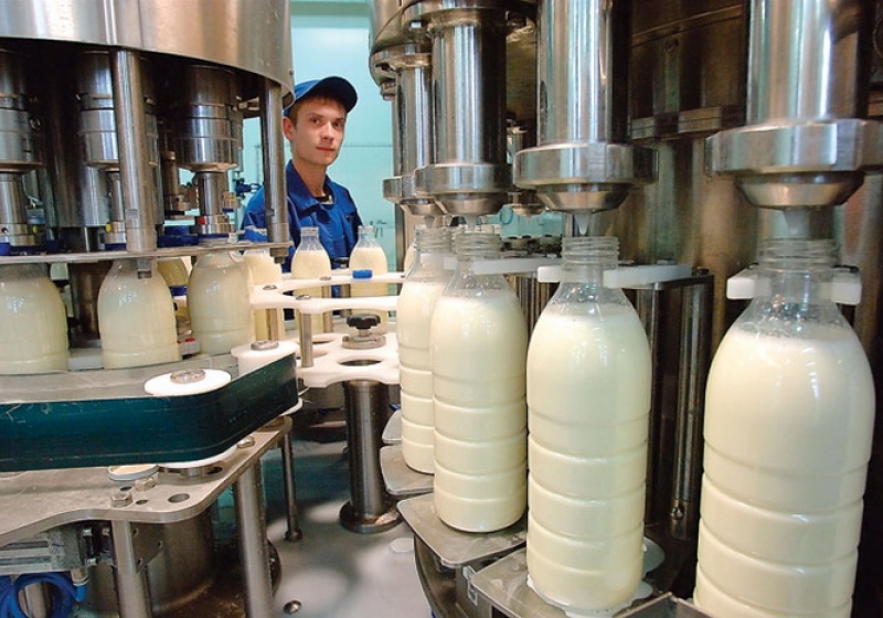 Реферат: Технология и техника молока и молочных продуктов